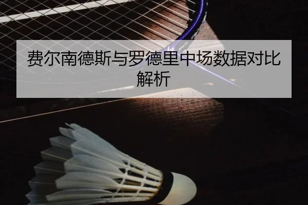 费尔南德斯与罗德里中场数据对比解析
